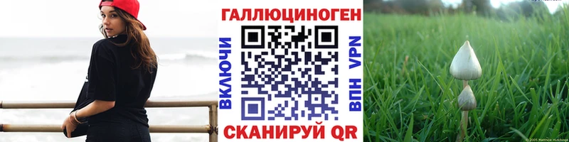 дарк нет какой сайт  Одинцово  Галлюциногенные грибы Psilocybine cubensis  OMG зеркало 