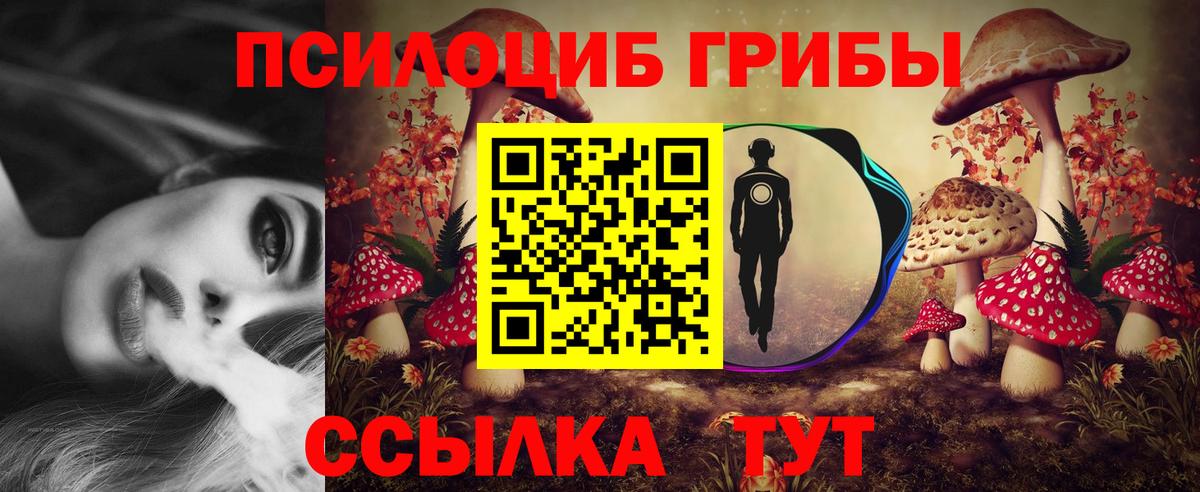 Галлюциногенные грибы мухоморы  Вход с VPN  Одинцово  Псилоцибиновые грибы мицелий 
