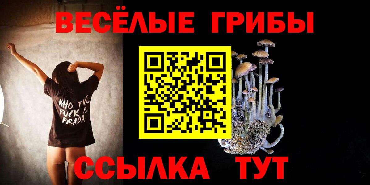 Галлюциногенные грибы Psilocybe Одинцово